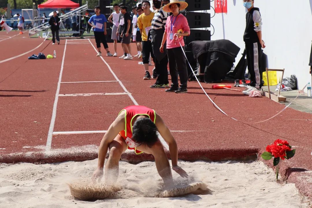 活力和创新 活力和创新