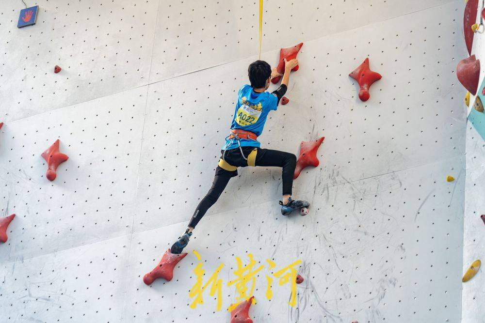 天津泰達本 天津泰達本