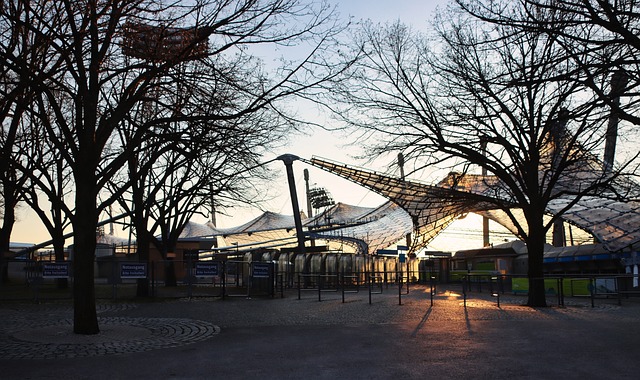 简单的膝击 简单的膝击