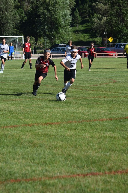 成长为联盟 成长为联盟